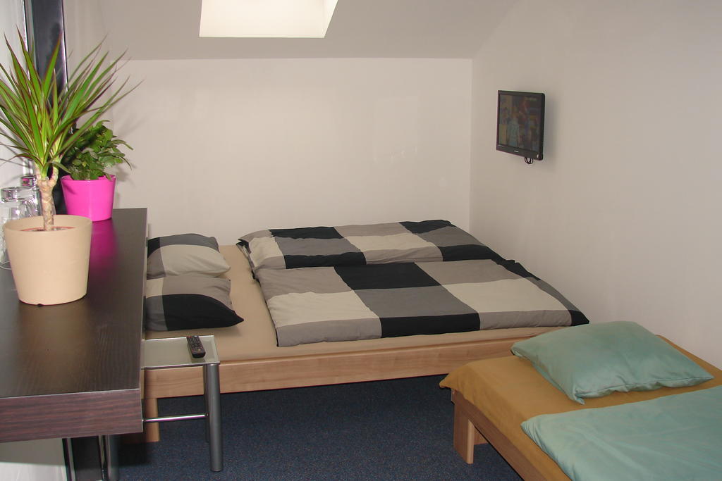 Ubytovani V Brne Hotel Brno Room photo