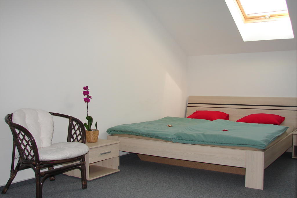 Ubytovani V Brne Hotel Brno Room photo